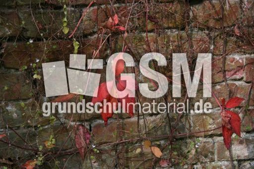 B-Herbststimmung 032.jpg